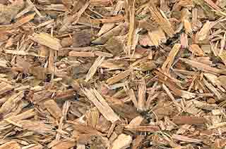 White Willow Bark - Click Image to Close